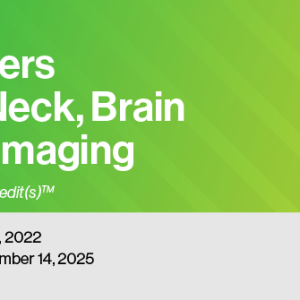 2022 Top Teachers in Head and Neck, Brain and Spine Imaging (Videos)