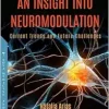 An Insight Into Neuromodulation: Current Trends and Future Challenges (Original PDF from Publisher)