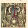 A Curious Man’s Guide to Urology: Sex, Stones, Prostate Woes, and More! (azw3+ePub+Converted PDF)