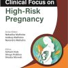 Clinical Focus on High-Risk Pregnancy (ePub)