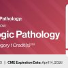 2023 Classic Lectures in Pathology: What You Need to Know: Gynecology Pathology (Videos)