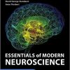 Essentials of Modern Neuroscience (Original PDF from Publisher)