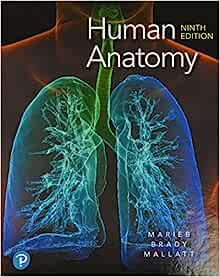 Human Anatomy, 9th Edition (Original PDF from Publisher)