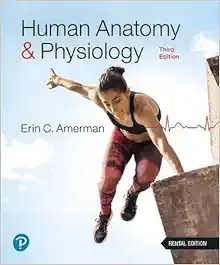 Human Anatomy & Physiology – Erin C. Amerman, 3rd Edition (Original PDF from Publisher)