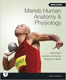 Marieb Human Anatomy & Physiology, 12th Edition (Original PDF from Publisher)
