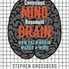 Conscious Mind, Resonant Brain: How Each Brain Makes a Mind (EPUB)