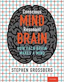 Conscious Mind, Resonant Brain: How Each Brain Makes a Mind (EPUB)