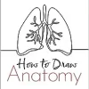How To Draw Anatomy (Original PDF from Publisher)