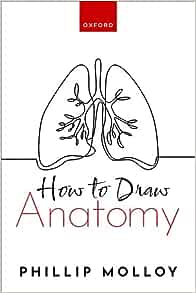 How To Draw Anatomy (EPUB)