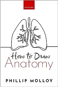 How To Draw Anatomy (Original PDF from Publisher)