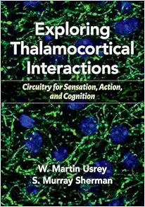 Exploring Thalamocortical Interactions: Circuitry for Sensation, Action, and Cognition (EPUB)