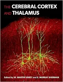 The Cerebral Cortex and Thalamus (Original PDF from Publisher)