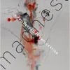 Madness: A Philosophical Exploration (Original PDF from Publisher)