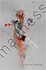 Madness: A Philosophical Exploration (EPUB)