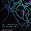 Thalamocortical Assemblies: Sleep spindles, slow waves and epileptic discharges (Monographs of the Physiological Society), 2nd edition (Original PDF from Publisher)