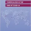 Innovations for Tackling Tuberculosis in the Time of COVID-19: Proceedings of a Workshop (EPUB)
