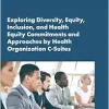 Exploring Diversity, Equity, Inclusion, and Health Equity Commitments and Approaches by Health Organization C-Suites: Proceedings of a Workshop (EPUB)