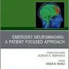 Emergent Neuroimaging: A Patient Focused Approach, An Issue of Neuroimaging Clinics of North America (Volume 28-3) (The Clinics: Radiology, Volume 28-3) (Original PDF from Publisher)