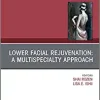 Lower Facial Rejuvenation: A Multispecialty Approach, An Issue of Clinics in Plastic Surgery (Volume 45-4) (The Clinics: Surgery, Volume 45-4) (Original PDF from Publisher)