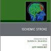 Ischemic Stroke, An Issue of Neuroimaging Clinics of North America (Volume 28-4) (The Clinics: Radiology, Volume 28-4) (Original PDF from Publisher)