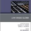 Low-Grade Glioma, An Issue of Neurosurgery Clinics of North America (Volume 30-1) (The Clinics: Surgery, Volume 30-1) (Original PDF from Publisher)
