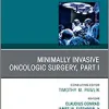 Minimally Invasive Oncologic Surgery, Part I, An Issue of Surgical Oncology Clinics of North America (Volume 28-1) (The Clinics: Surgery, Volume 28-1) (Original PDF from Publisher)
