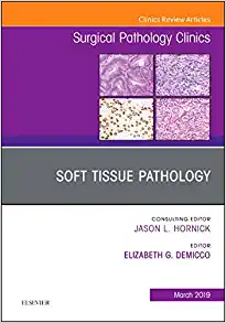 Soft Tissue Pathology, An Issue of Surgical Pathology Clinics (Volume 12-1) (The Clinics: Surgery, Volume 12-1) (Original PDF from Publisher)