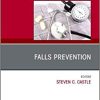 Falls Prevention, An Issue of Clinics in Geriatric Medicine (Volume 35-2) (Original PDF from Publisher)