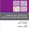 Gynecologic Pathology: Practical Issues and Updates, An Issue of Surgical Pathology Clinics (Volume 12-2) (The Clinics: Surgery, Volume 12-2) (Original PDF from Publisher)