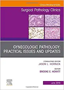 Gynecologic Pathology: Practical Issues and Updates, An Issue of Surgical Pathology Clinics (Volume 12-2) (The Clinics: Surgery, Volume 12-2) (Original PDF from Publisher)