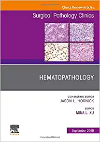 Hematopathology, An Issue of Surgical Pathology Clinics (Volume 12-3) (The Clinics: Surgery, Volume 12-3) (Original PDF from Publisher)