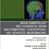 Brain Embryology and the Cause of Congenital Malformations, An Issue of Neuroimaging Clinics of North America (Volume 29-3) (The Clinics: Radiology, Volume 29-3) (Original PDF from Publisher)
