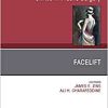 Facelift, An Issue of Clinics in Plastic Surgery (Volume 46-4) (The Clinics: Surgery, Volume 46-4) (Original PDF from Publisher)