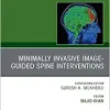 Spine Intervention, An Issue of Neuroimaging Clinics of North America (Volume 29-4) (The Clinics: Radiology, Volume 29-4) (Original PDF from Publisher)