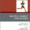 Knee Multiligament Injuries – Common Problems, An Issue of Clinics in Sports Medicine (Volume 38-2) (The Clinics: Orthopedics, Volume 38-2) (Original PDF from Publisher)