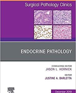 Endocrine Pathology, An Issue of Surgical Pathology Clinics (Volume 12-4) (The Clinics: Surgery, Volume 12-4) (Original PDF from Publisher)