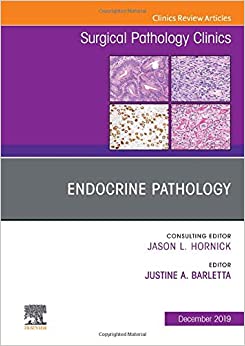 Endocrine Pathology, An Issue of Surgical Pathology Clinics (Volume 12-4) (The Clinics: Surgery, Volume 12-4) (Original PDF from Publisher)