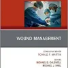Wound Management, An Issue of Surgical Clinics (Volume 100-4) (The Clinics: Surgery, Volume 100-4) (Original PDF from Publisher)