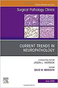 Current Trends in Neuropathology, An Issue of Surgical Pathology Clinics (Volume 13-2) (The Clinics: Surgery, Volume 13-2) (Original PDF from Publisher)