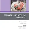 Perinatal and Neonatal Infections, An Issue of Clinics in Perinatology (Volume 48-2) (The Clinics: Orthopedics, Volume 48-2) (Original PDF from Publisher)