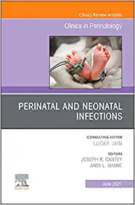 Perinatal and Neonatal Infections, An Issue of Clinics in Perinatology (Volume 48-2) (The Clinics: Orthopedics, Volume 48-2) (Original PDF from Publisher)