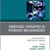 Emerging Therapies in Thoracic Malignancies, An Issue of Surgical Oncology Clinics of North America (Volume 29-4) (The Clinics: Surgery, Volume 29-4) (Original PDF from Publisher)