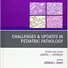 Challenges & Updates in Pediatric Pathology, An Issue of Surgical Pathology Clinics (Volume 13-4) (The Clinics: Surgery, Volume 13-4) (Original PDF from Publisher)