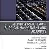 Glioblastoma, Part I: Surgical Management and Adjuncts, An Issue of Neurosurgery Clinics of North America (Volume 32-1) (The Clinics: Surgery, Volume 32-1) (Original PDF from Publisher)