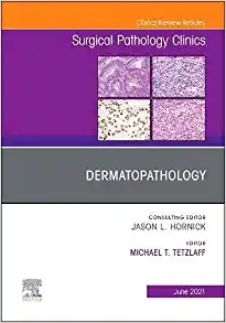 Dermatopathology, An Issue of Surgical Pathology Clinics (Volume 14-2) (The Clinics: Surgery, Volume 14-2) (Original PDF from Publisher)
