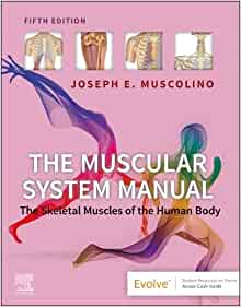 The Muscular System Manual: The Skeletal Muscles of the Human Body, 5th edition (Original PDF from Publisher)