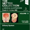 The Netter Collection of Medical Illustrations: Urinary System, Volume 5, 3rd Edition (True PDF from Publisher)