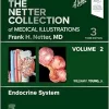 The Netter Collection of Medical Illustrations Endocrine System: Volume 2, 3rd Edition (True PDF from Publisher)