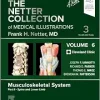 The Netter Collection of Medical Illustrations: Musculoskeletal System, Volume 6, Part II – Spine and Lower Limb, 3rd Edition (True PDF from Publisher)