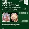 The Netter Collection of Medical Illustrations: Cardiovascular System, Volume 8, 3rd edition (True PDF)